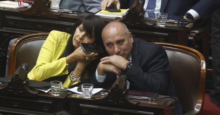 Tras la ruptura con el PRO en Río Negro, Karina impuso a Villaverde como primera senadora