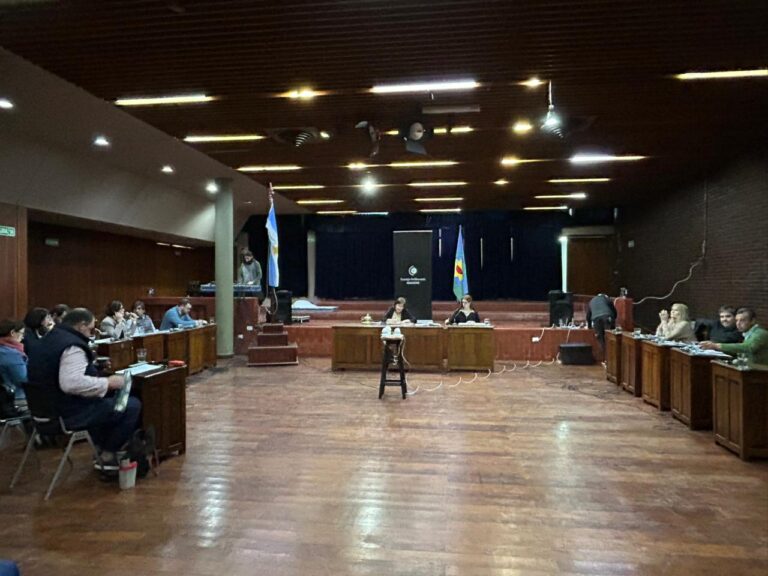 El nuevo Concejo Deliberante: el mapa que marcará una gestión
