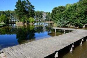 Buscan al autor del robo de un celular en el Club Independiente