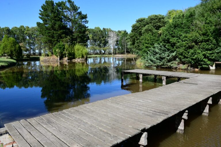 Buscan al autor del robo de un celular en el Club Independiente