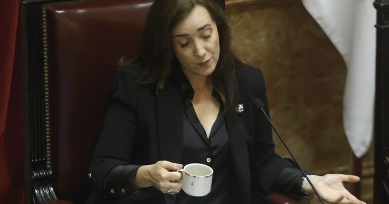 Villarruel retuiteó un mensaje donde dicen que Bullrich está gagá