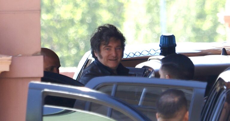 Milei tachó al hombre de Macri en el súper ente que controlará todas las empresas de energía