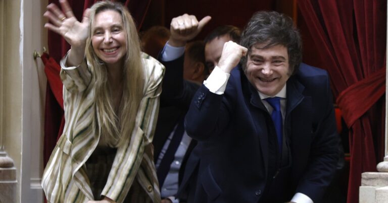 Karina eligió un diputado libertario para el Consejo de la Magistratura y se mete en la Justicia