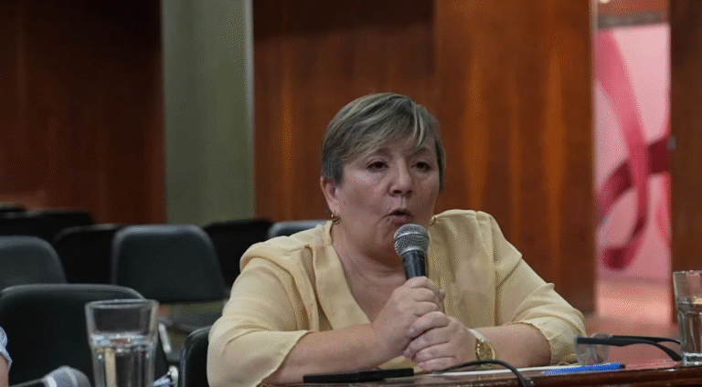 Marisa Darguibel: “No alcanza con solo impulsar ordenanzas, el ejecutivo debe cumplirlas”