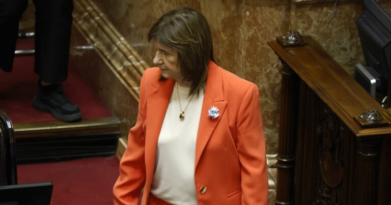 El vínculo de Patricia con Techint agrava la desconfianza de Milei