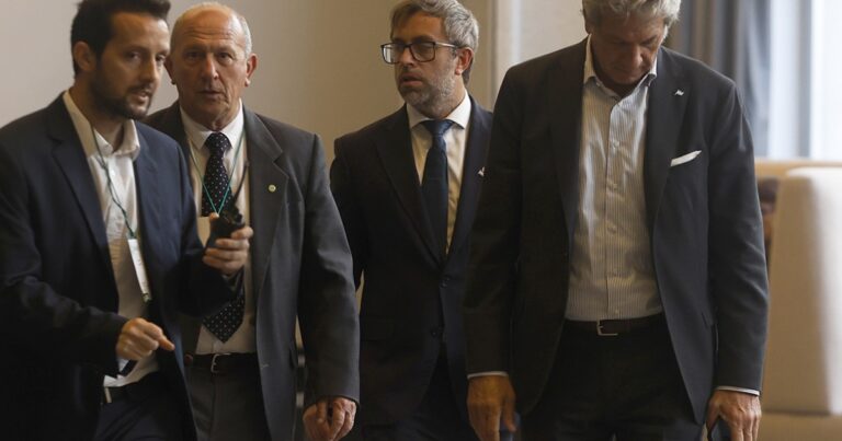 Alarma por casos de “oveja loca” en Argentina en medio del desguace del Senasa