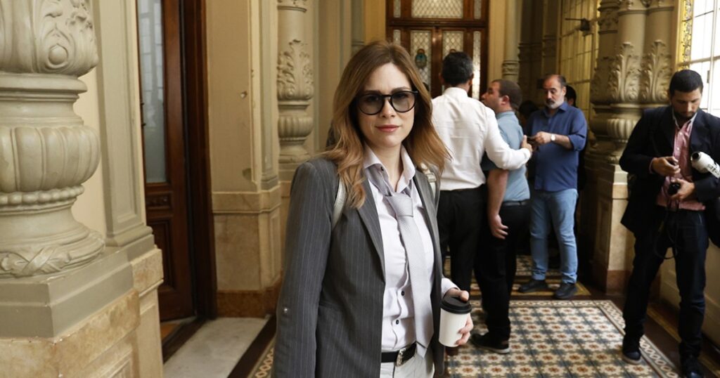 Lemoine quiere crear el ejército digital de Sebastián Pareja y un detector de concejales coimeros