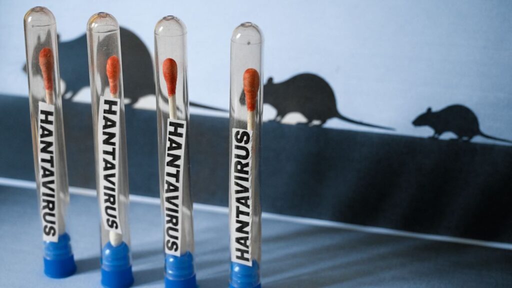Preocupación por el hantavirus en Argentina: los casos alcanzan cifras récord en la última década