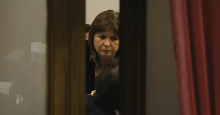 Milei volvió a fracasar con la ley de tierras y Bullrich tuvo que suspender la sesión hasta agosto