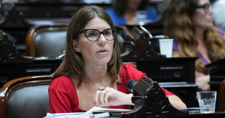 Una diputada de Massa cruzó a Katopodis por priorizar la Autopista Perón sobre la ruta 40