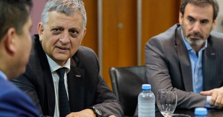 El Gobierno estudia crear una sociedad con YPF Agro y abrir el 50% al capital privado