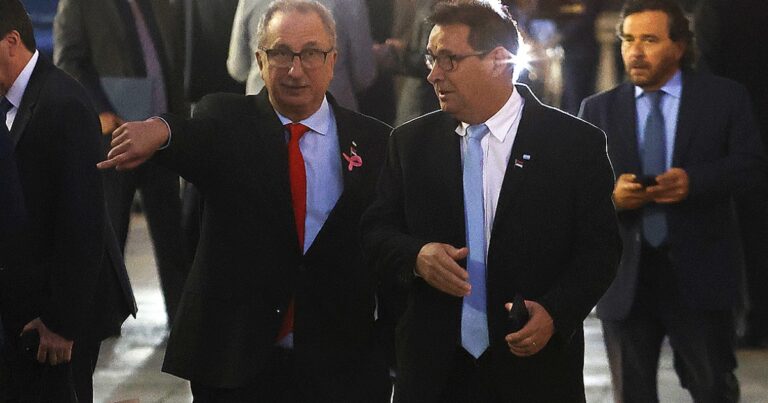 El gobernador Passalacqua se perfila como opositor a Milei y manda a los senadores a votar en contra la ley de tierras