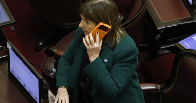 Karina sacrificó la ley de tierras para que Bullrich sufra una derrota política