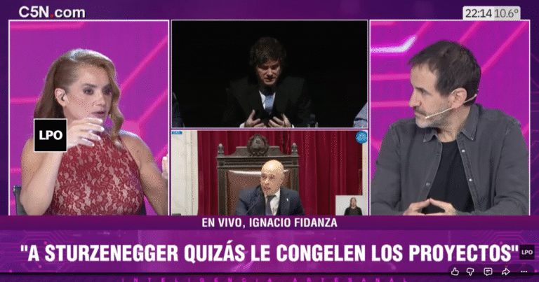 “Atrás del fracaso del Senado, hubo un ajuste de cuentas al interior del Gobierno”